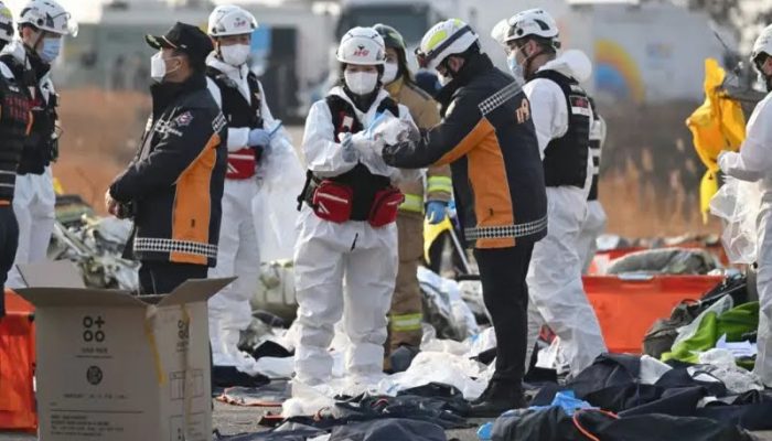 Sekitar 177 Korban Meninggal Dunia Dalam Insiden Kecelakaan Pesawat Di Muan Korea Selatan